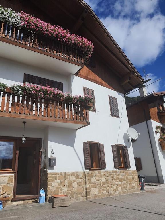 Casa Phoenix Appartamento Piano Terra Immerso Nel Verde A Pochi Minuti Dalla Ciclabile Pieve di Cadore Exterior foto